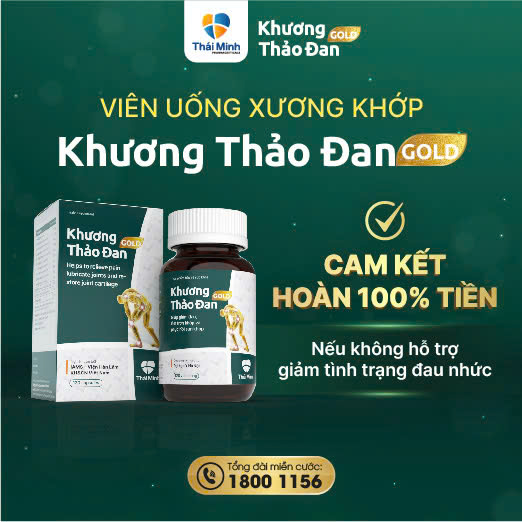 banner trang chủ Thái Minh