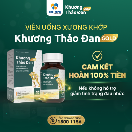 banner trang chủ Thái Minh