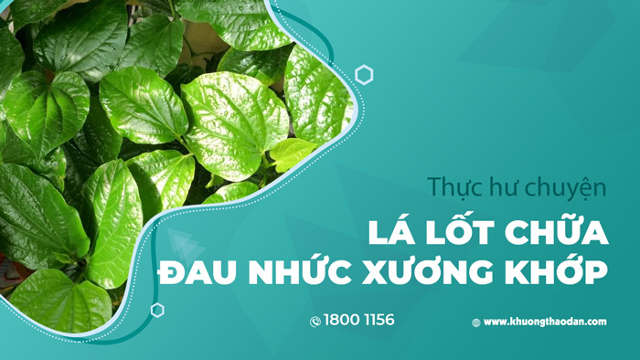 Có những thành phần nào trong lá lốt giúp làm giảm đau và cung cấp dưỡng chất cho xương khớp?
