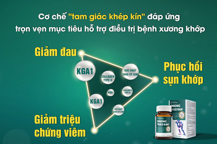 Khương Thảo Đan: Không chỉ giảm đau mà còn phục hồi sụn khớp hiệu quả!