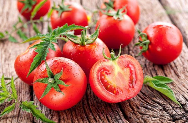 Hình ảnh minh họa cà chua