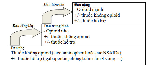 Bảng đánh giá bậc đau của người bệnh