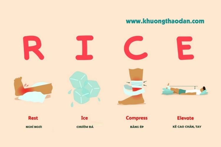 phuong-phap-rice