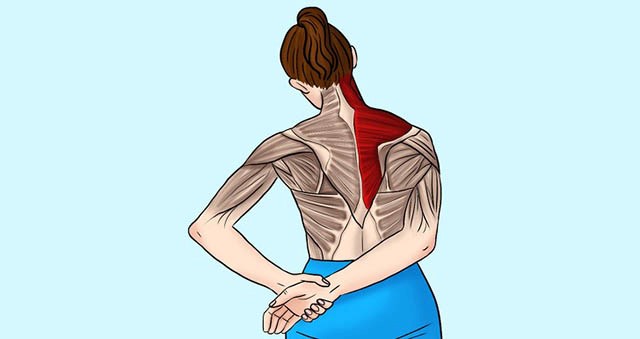 Bài tập giảm đau vai gáy kéo cơ thang hai bên cổ